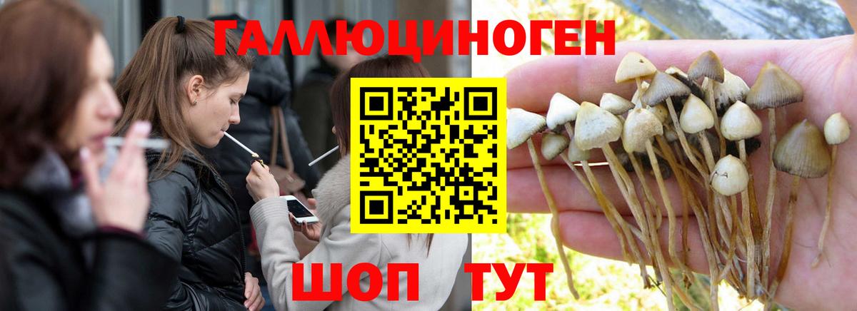 Галлюциногенные грибы прущие грибы  Вход с VPN  Кулебаки 